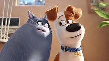 Through the Reels: Movie Review: "The Secret Life of Pets" (2016)