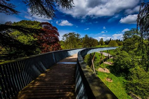 Westonbirt Arboretum To Reopen To Visitors Using A New Booking System
