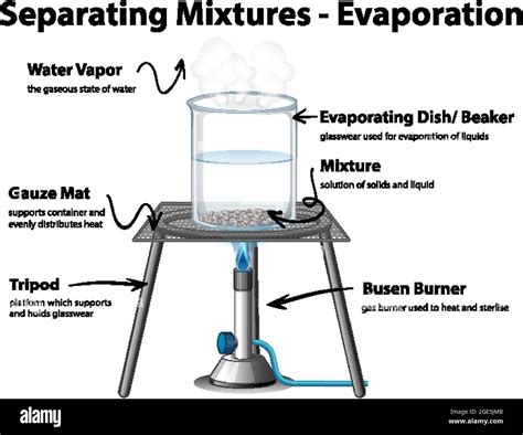 Diagram Showing Evaporation Separating Mixtures Illustration Stock