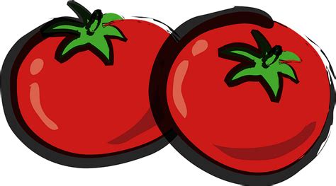 Tomatoes Clipart Free Download Transparent Png Creazilla