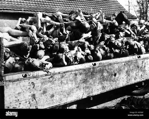 Campo De Concentración De Buchenwald Después De La Liberación Por Las