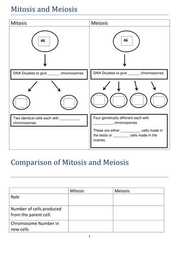 A Comparison Of Mitosis And Meiosis By Biologysubjectresources