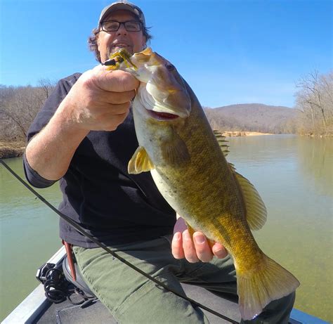 The Four Best Streams For Ozarks Smallmouth Great American Wildlife