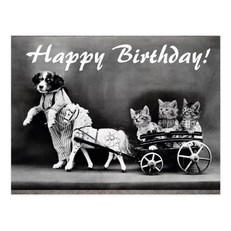 Vintage Cats And Dog Happy Birthday Postcard Zazzle
