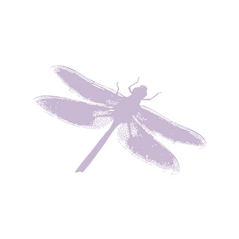 Insect Silhouette Dragonfly Silhouette Png Download 10241024