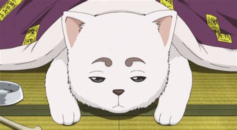 Top 20 Cute Anime Dogs Gintama  Samurai Dog