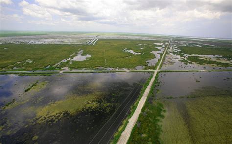 Everglades Restoration Greatly Downsized Is On The Horizon The New