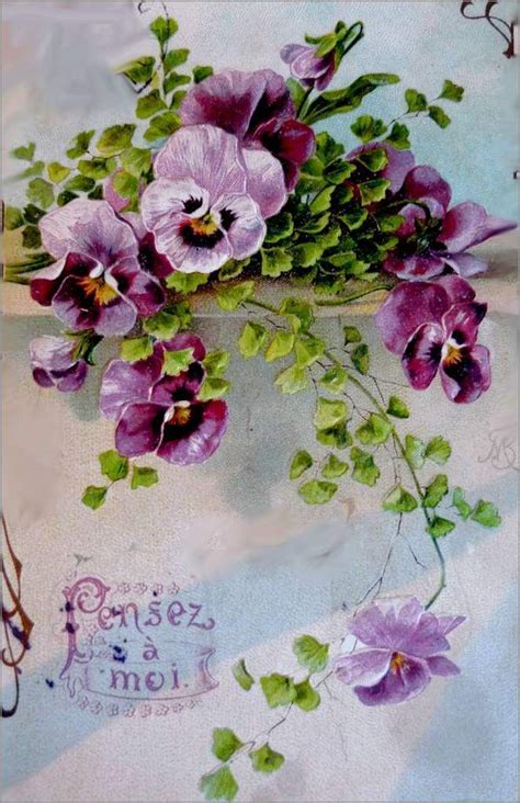 Cartes Illustrées Vintage Fleurs Pensées Balades Comtoises