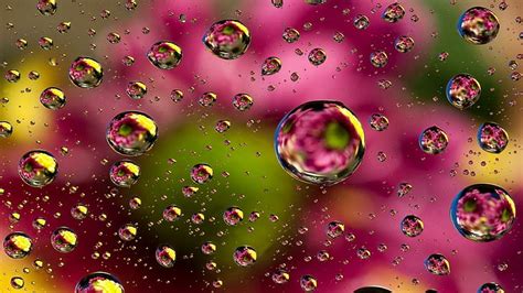 Hd Wallpaper Drop Water Drops Macro Photography Close Up Colorful