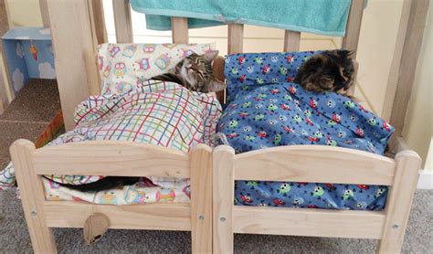 Sasha and me specialize in designer beds, blankets, cushions, organic pet products, fancy pet beds, toys, travel blankets, mats, apparel for pets, comfortable designer dog & cat beds, accessories, natural fabric designer pet beds and #fast delivery and free shipping on all pet beds in australia. Japanese Cat Owners Turn IKEA Doll Beds Into Adorable Cat ...