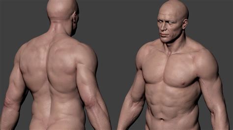 Welcome to innerbody.com, a free educational resource for learning about human anatomy and physiology. ArtStation - ANATOMY MALE, Andrey Gritsuk | Man anatomy ...