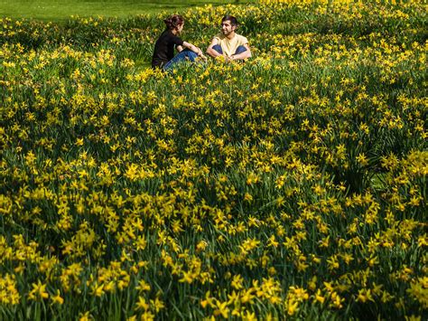 23 Stunning Places To See Spring Flowers In London Parks And Gardens