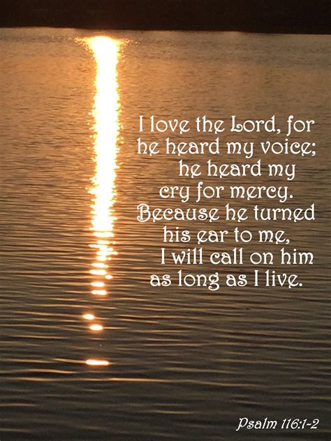 Pin by Cheryl Tooke on Scripture Verses | Psalm 116, Psalms, I love the