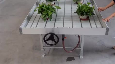 4x8ft Ebb And Flow Table For Greenhouse Rolling Bench Seedling