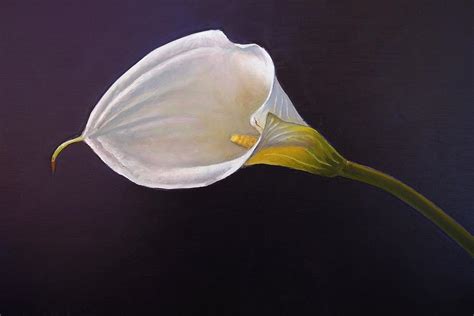 White Calla Lily Painting By Abel Delarosa Fine Art America