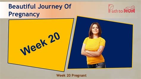 20 Weeks Pregnant Pregnancy Week By Week Pregnancy Stages And Fetal