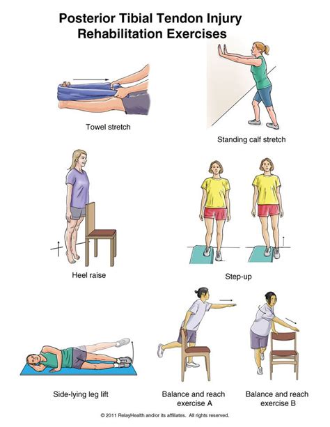 Posterior Tibial Tendon Exercises Rehabilitation Exercises Physical