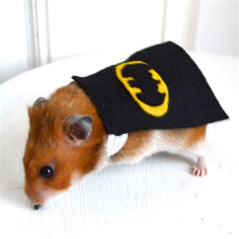 Batman Costume Hamster Guinea Pig Chinchilla By Lamarmotacafe 9