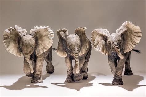 Baby Elephant Sculptures Nick Mackman Animal Sculpture