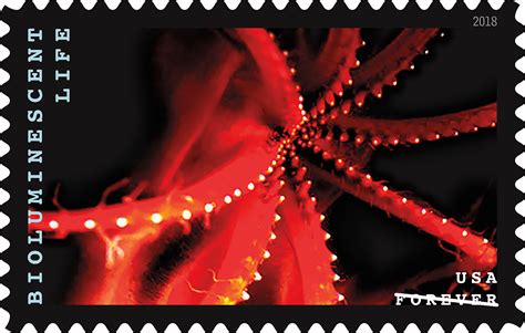 These Beautiful New Stamps Capture Magic Of Bioluminescent Species With