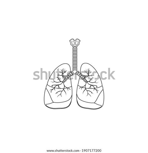 Human Respiratory System Line Icon Vector Stock Vector Royalty Free