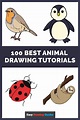 100 Easy Animal Drawing Tutorials