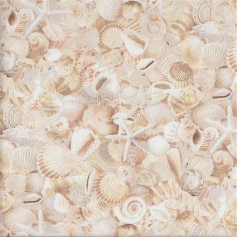 Sea Shells Starfish Beach Sand Landscape Quilting Fabric Find A Fabric