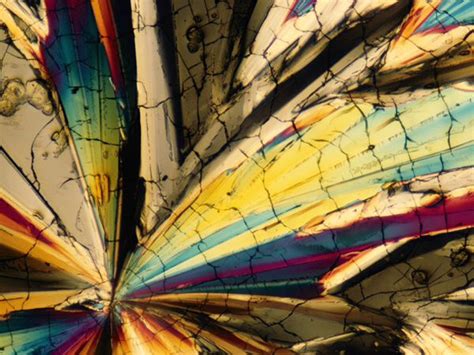 Sugar Under The Microscope Color Of Life Microscopic Photography