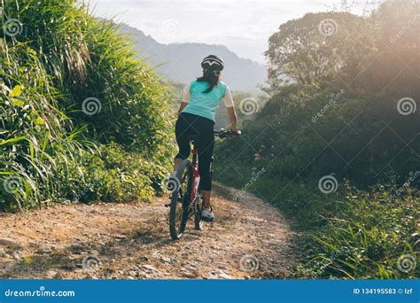 Cyclist Riding A Bike On A Nature Trail In The Mountains Stock Image
