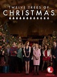 Los doce árboles de Navidad (TV) (2013) - FilmAffinity