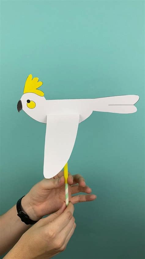Flying Australian Birds Craft For Kids Video In 2021 Kids Crafts