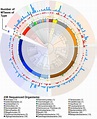 Roles of DNA methylation in prokaryotes