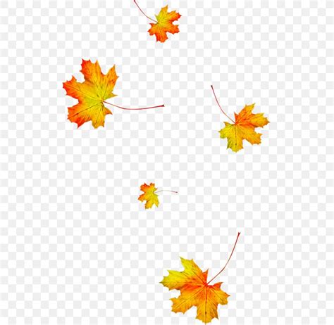 Animated Autumn Leaf Fall Tree Bodaswasuas