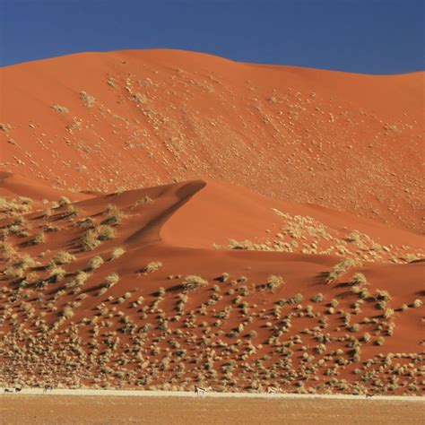 Namib Naukluft National Park Exploring Africa