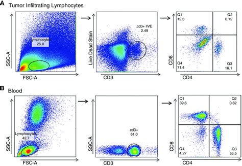 Gating Strategy For TILs And Blood A Tumor Infiltrating Lymphocytes