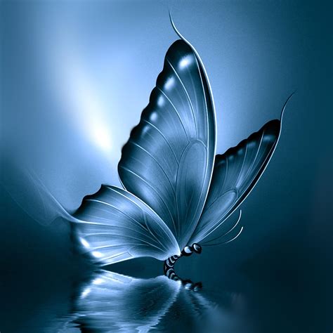 Light Butterfly Wallpapers Top Free Light Butterfly Backgrounds