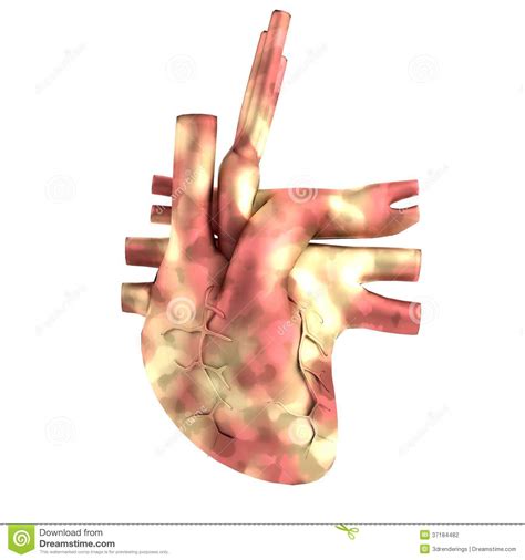 3d Render Of Heart Stock Illustration Illustration Of Render 37184482