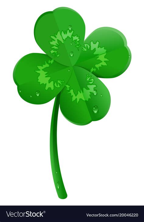 Green Lucky Four Leaf Clover Symbol Of St Vector Image