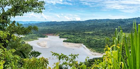 National Parks Of The Amazon Rainforest Rainforest Cruises