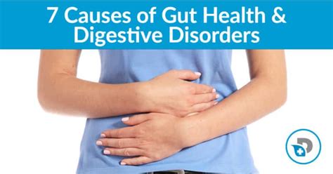 7 common causes of poor gut health and digestive disorders dr daniel functional medicine