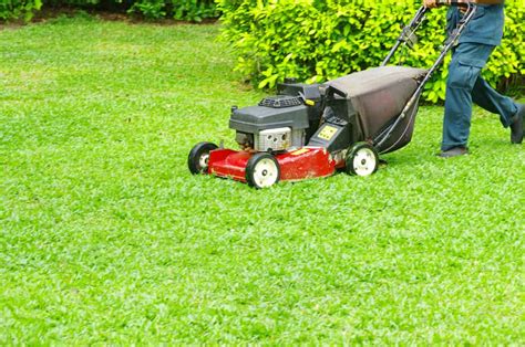 Your On Demand Lawn Mowing Service App Needs This