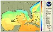 The Gulf of Mexico Loop Current | NOAA CoastWatch & OceanWatch