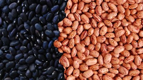 Black Beans Vs Pinto Beans Taste 5 Key And Amazing Differences And