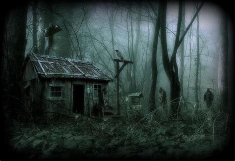 Quite An Evil Spot In The Forest That µ—x Spooky House Spooky