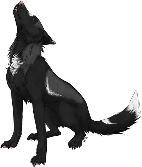 Drawing Wolfs Growl Transparent Png Clipart Free Download Colorful