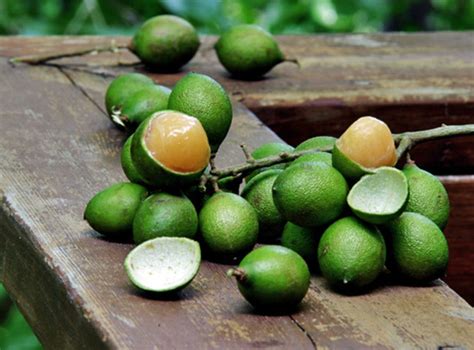 Spanish Lime Or Limoncillo Health Benefits Of Rarest And Exotic Fruits Of The World