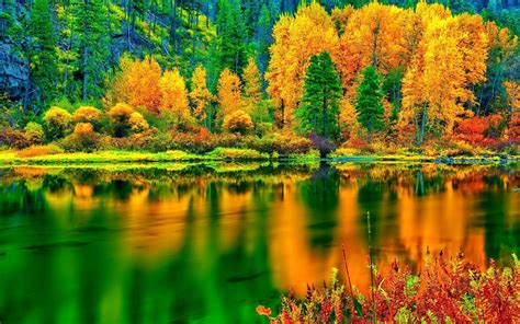 Hd Breathtaking Autumn Colors Wallpaper Orange And Green In Nature