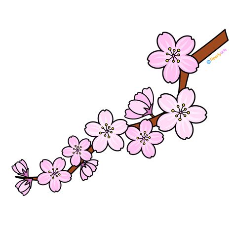 Cherry Blossom Branch Clipart Free Download Pearly Arts