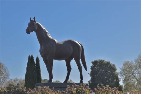 Kentucky Horse Park Lexington 2019 All You Need To Know Before You