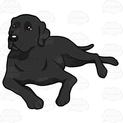 The Best Free Labrador Vector Images Download From 65 Free Vectors Of